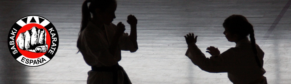 VALENCIA KARATE valencia karate: