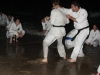 Kangueiko 2010